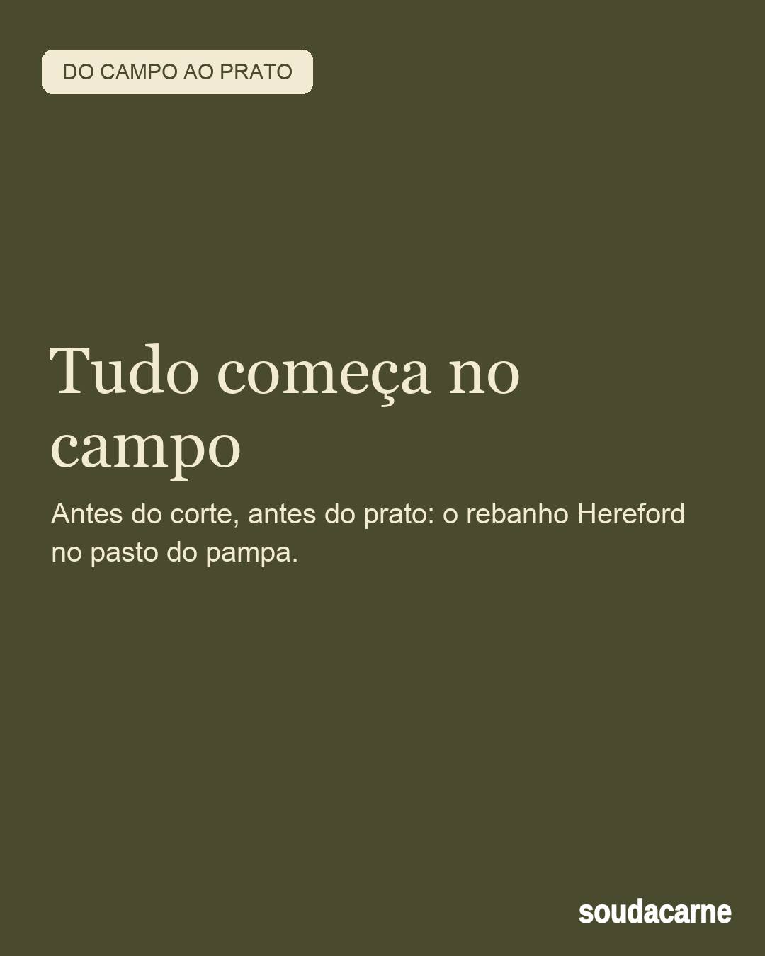 Antes de ser corte, é rebanho. Hereford pastando solto no verde do pampa, céu aberto, sem 