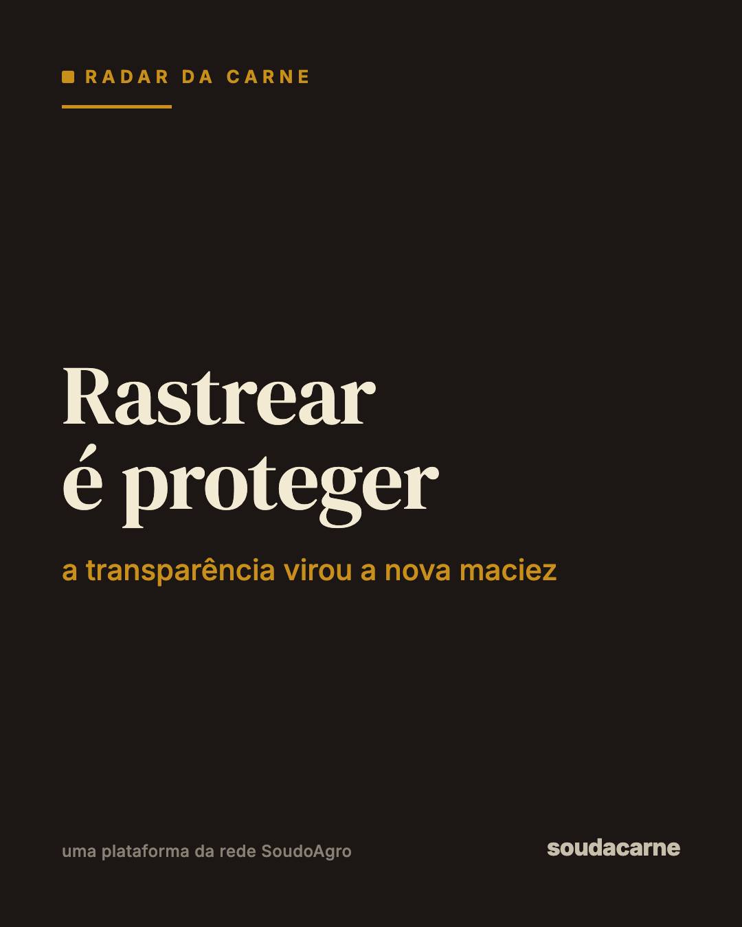 O futuro da carne tem um detalhe que ainda não está no prato, mas já está na decisão de co