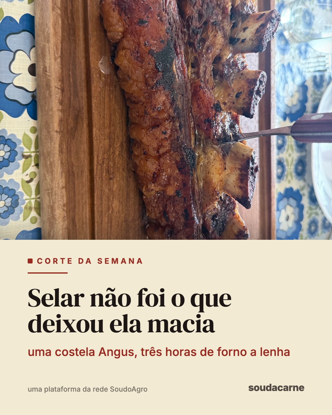 Selar não foi o que deixou essa costela macia. A casca escura é sabor, a reação de Maillar