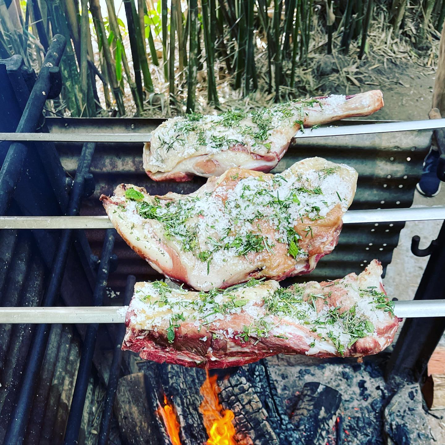 Borrega de 10 meses em fogo a lenha.
