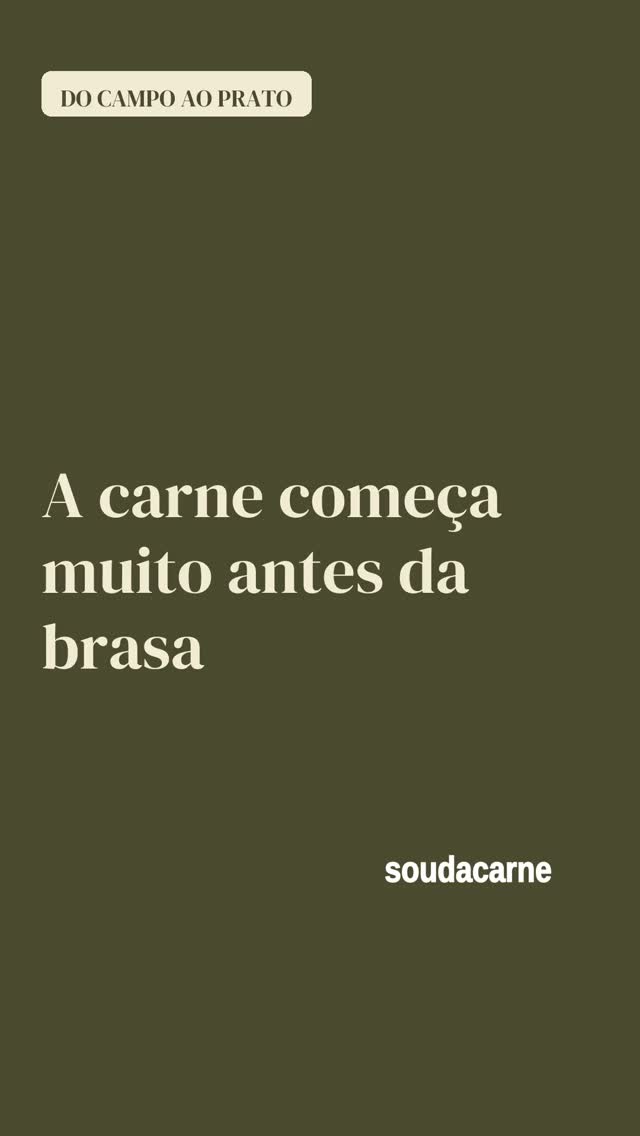 Trinta segundos separam o pasto do prato — mas só no vídeo. Na vida real, essa travessia l